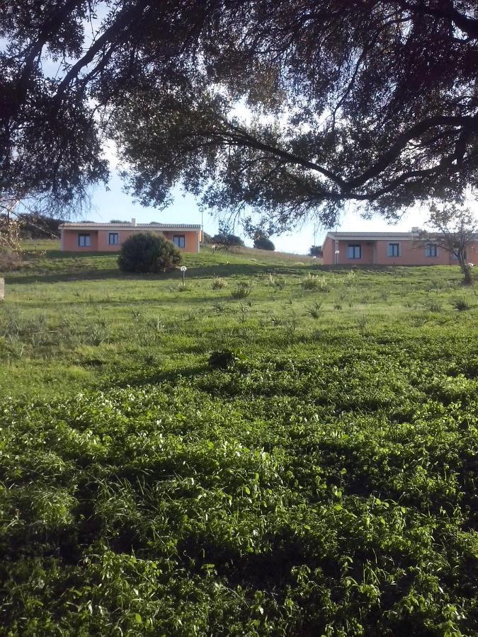 Agriturismo Gli Olivastri, Appartamento La Rosa Dei Venti Con Piscina E Solarium , Vista Mare ,Climatizzatore ,Wifi Альєнту Екстер'єр фото