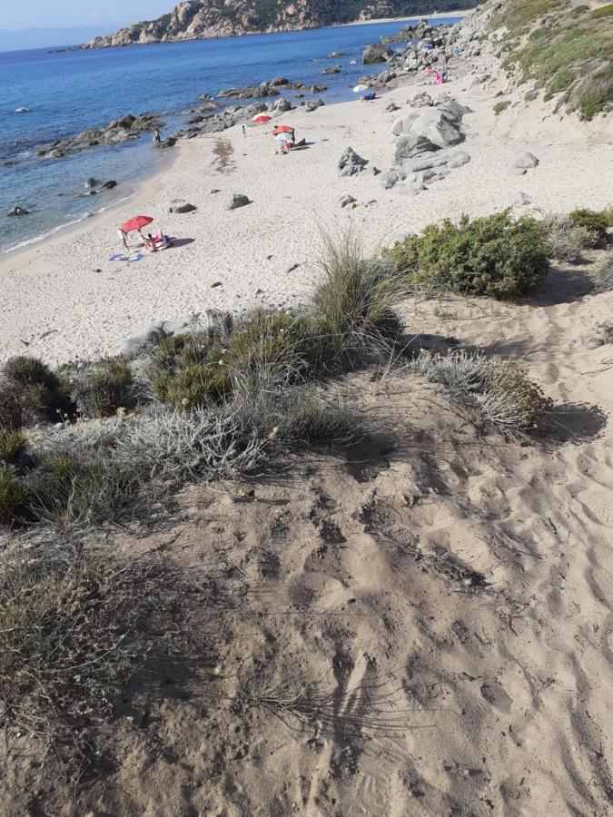 Agriturismo Gli Olivastri, Appartamento La Rosa Dei Venti Con Piscina E Solarium , Vista Mare ,Climatizzatore ,Wifi Альєнту Екстер'єр фото