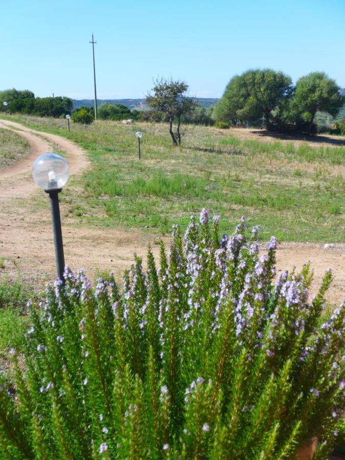 Agriturismo Gli Olivastri, Appartamento La Rosa Dei Venti Con Piscina E Solarium , Vista Mare ,Climatizzatore ,Wifi Альєнту Екстер'єр фото