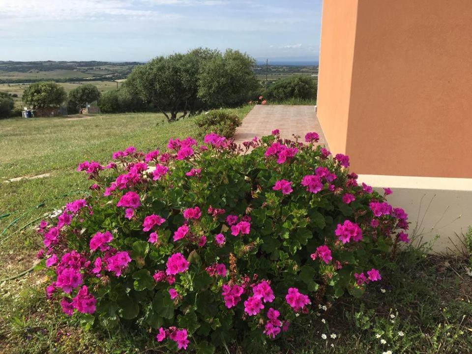 Agriturismo Gli Olivastri, Appartamento La Rosa Dei Venti Con Piscina E Solarium , Vista Mare ,Climatizzatore ,Wifi Альєнту Екстер'єр фото
