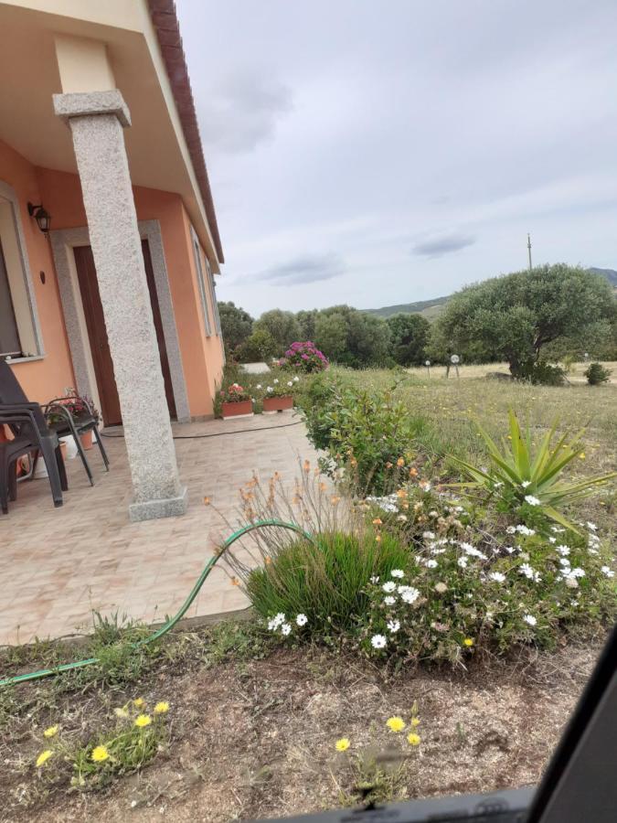 Agriturismo Gli Olivastri, Appartamento La Rosa Dei Venti Con Piscina E Solarium , Vista Mare ,Climatizzatore ,Wifi Альєнту Екстер'єр фото