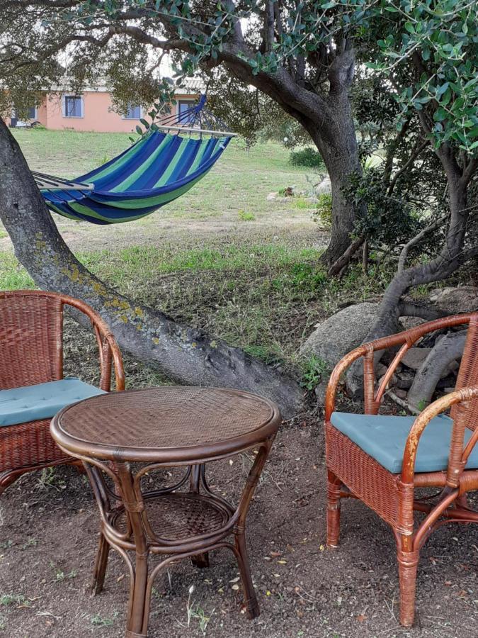Agriturismo Gli Olivastri, Appartamento La Rosa Dei Venti Con Piscina E Solarium , Vista Mare ,Climatizzatore ,Wifi Альєнту Екстер'єр фото